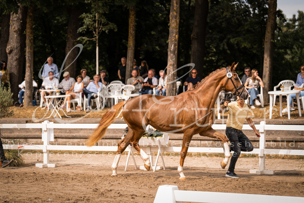 7.Fr00006 | Leoni Ertmer Photography - Realisiert mit Pictrs.com