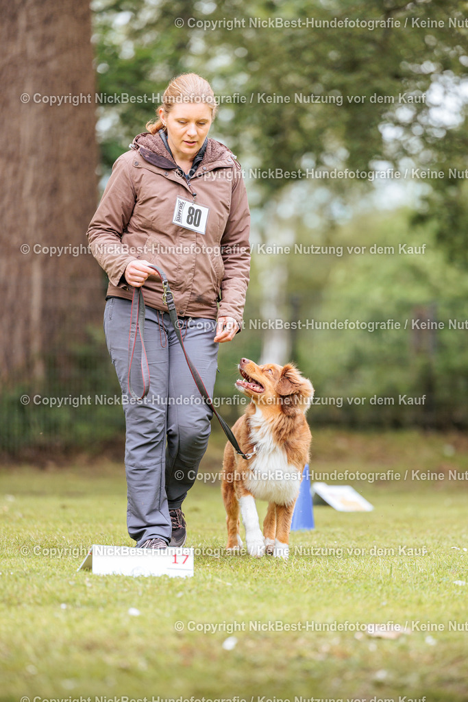 RO-Blumenthal-2026-Nickbest-Hundefotografie-3418 | Dein Hund! Dein Moment! Deine Erinnerungen! Hundefotografie in Bremen Blumenthal. Ich fange die besonderen Momente deines Vierbeiners ein – ob Indoor mit Blitzanlage oder in der freien Natur. Sicher dir dein Moment und dein Termin für eure Erinnerungen.