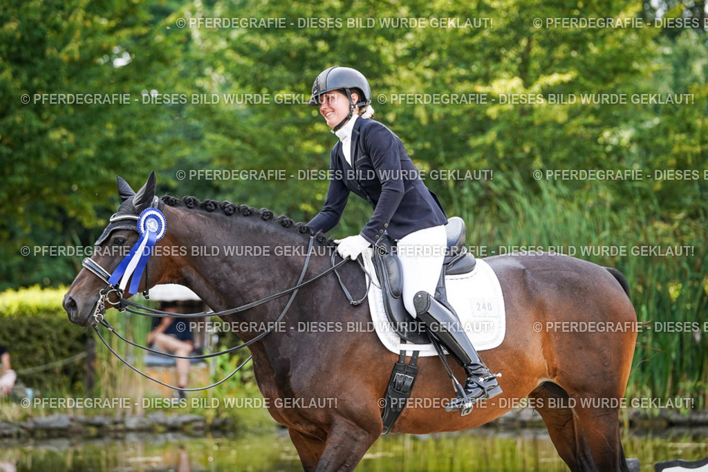 DSC07795 | Pferdegrafie