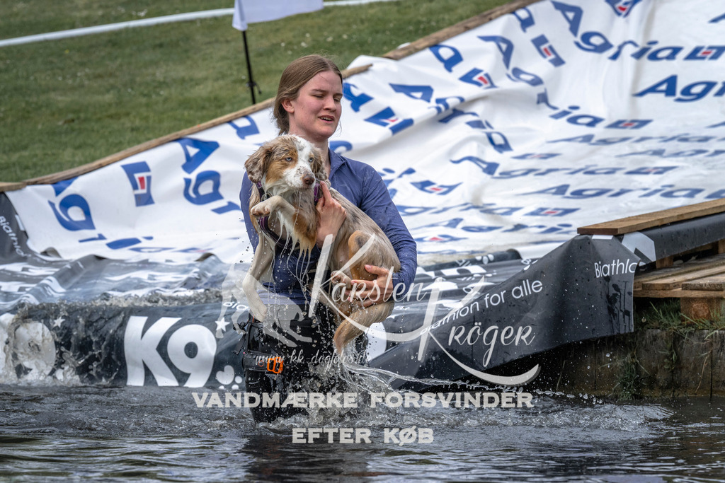 1138_ZZ93268 | kk-dogfotos
