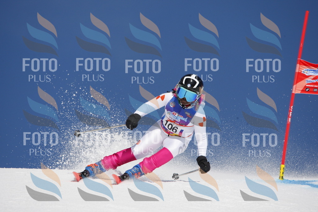 _W1G1592 | holidayphoto