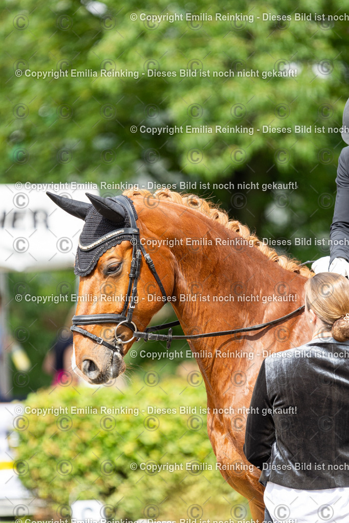 CL5A6305 | Emilia Reinking Fotografie - Realisiert mit Pictrs.com