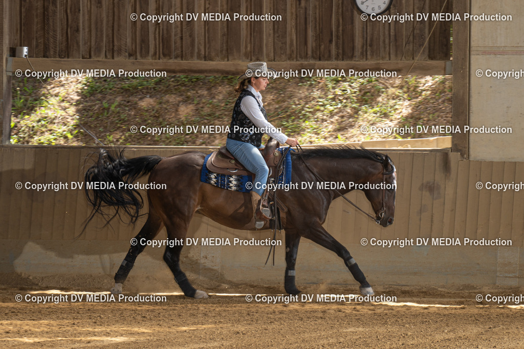 DSC00214 | dv-media-shop - Realisiert mit Pictrs.com