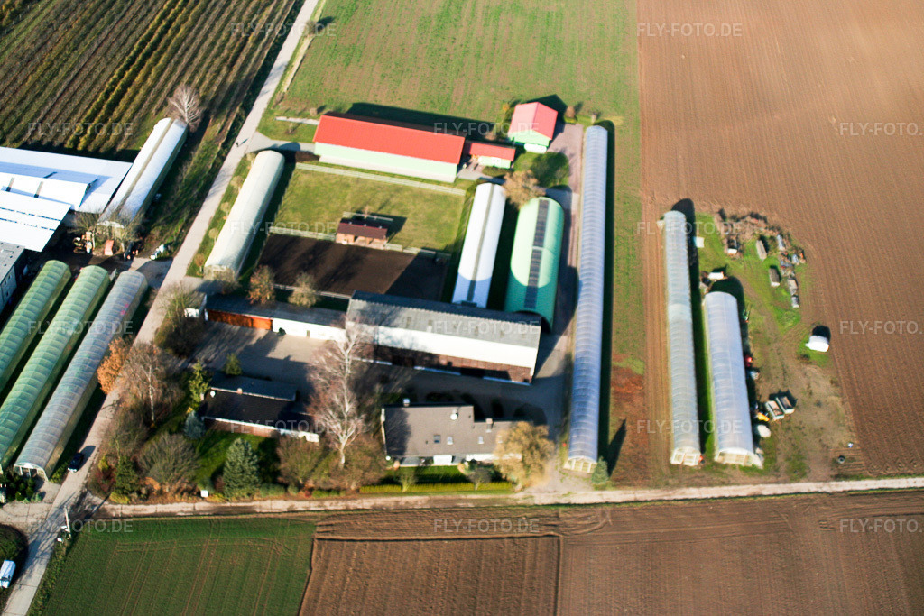 Luftbild: Nauerth Tabak in Kandel im Bundesland Rheinland-Pfalz in Deutschland. Foto: IMG_0159.jpg vom 10.12.2005 durch Werner Riehm/FLY-FOTO.de