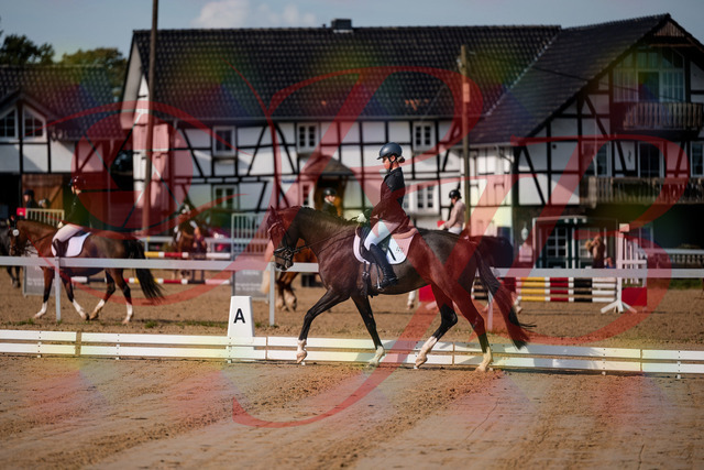 2026_10_03_Siefer-Hof_113325_Z63_19714227 | Professionelle Reitsport-, Turnier- und Eventfotografie von Robert Broda. Galerien mit ausgewählten und bearbeiteten Bildern direkt online ansehen und bestellen.