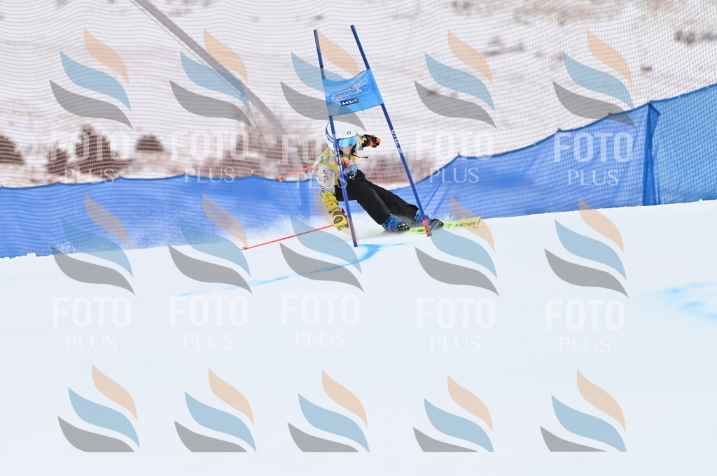 BGV_3330 | holidayphoto