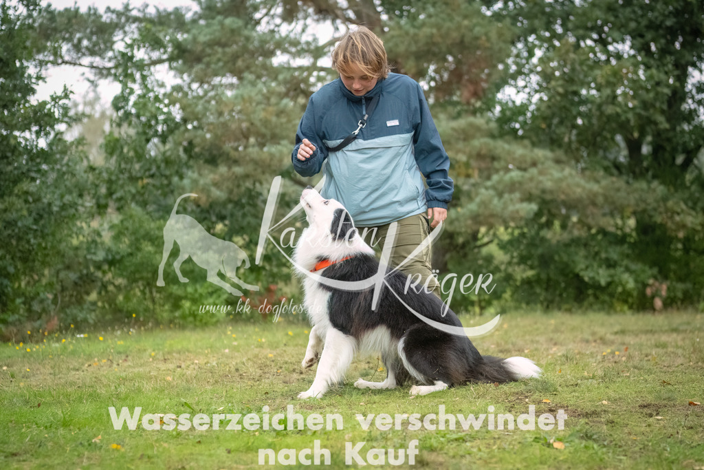 1232_ZZ91289-2-Bearbeitet | kk-dogfotos
