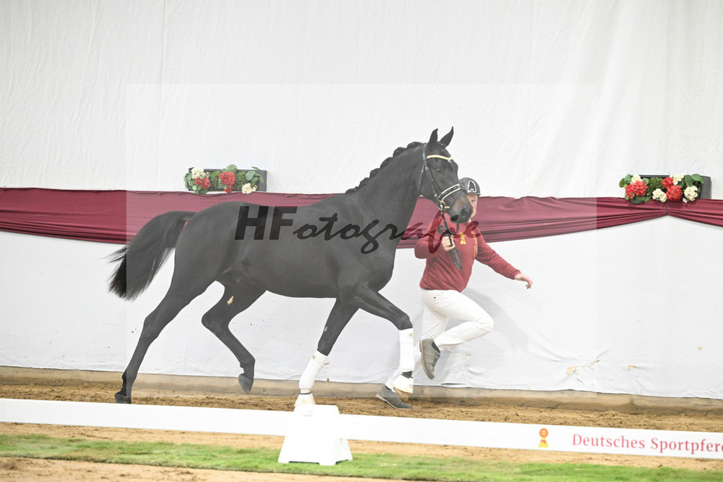 Kat-Nr. 23 Va Pensiero x De Niro_Christiane Schindele_47250713 | hf-fotografie - Realisiert mit Pictrs.com