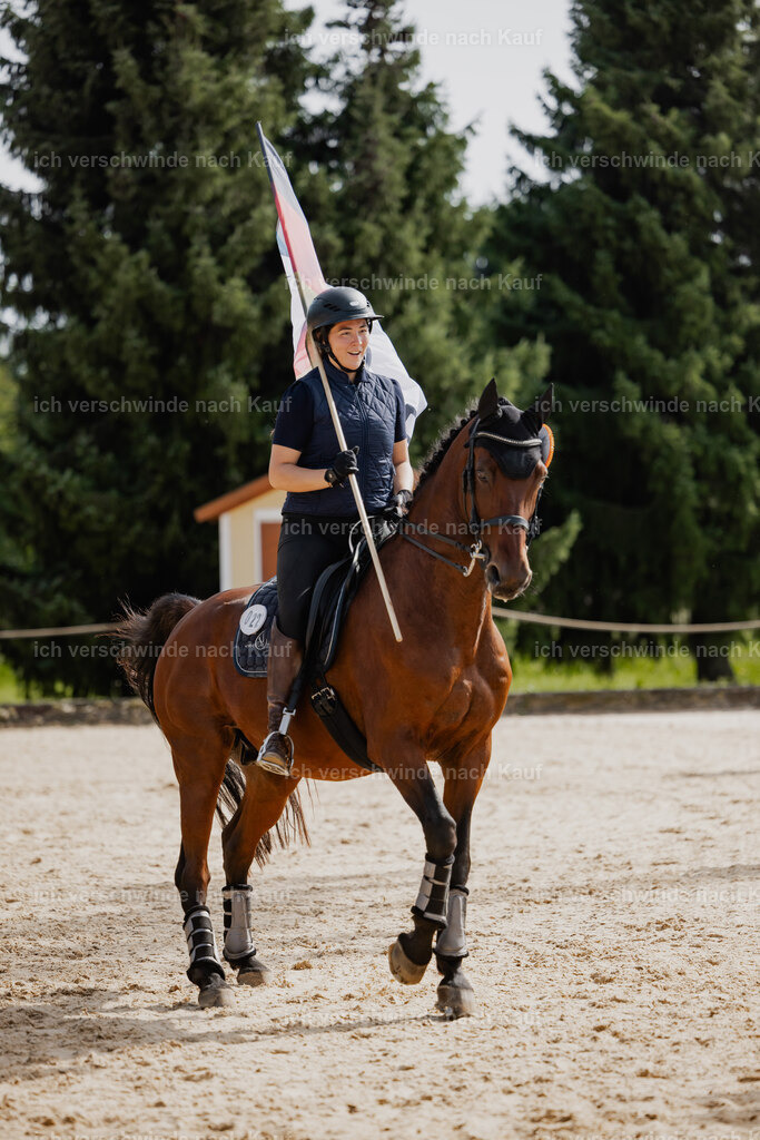 Nadine22_FHC2025-161 | working equitationturnier fotograf videograf stoibphotography marixx film working equitation deutschland reitsport turnierfotografie eventfotografie equestrian events