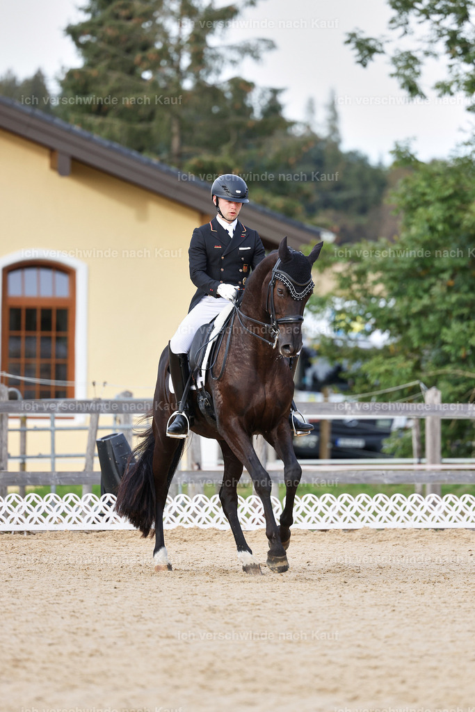 13-229-S___ -StoibPH-6984 | working equitationturnier fotograf videograf stoibphotography marixx film working equitation deutschland reitsport turnierfotografie eventfotografie equestrian events