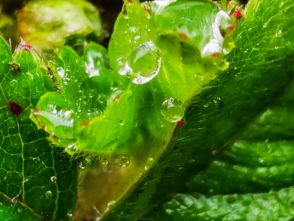 PSX_20230324_225101 | mtkfoto_ - Realisiert mit Pictrs.com