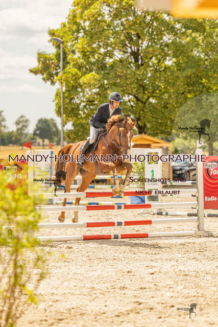26-7-23 SPR A++-497 | mandyhollmannphotographie