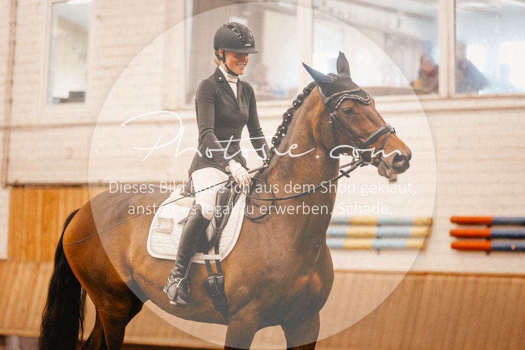 3I6A2025 | Stimmungsvolle Portraits und Reitsportfotografie im Ruhrgebiet und im Münsterland.

Pferdefotografie, Hundefotografie, Tierfotografie, Reportagen, Portraits von Tier und Mensch, Turnierfotografie in Bochum, Recklinghausen, Marl, Haltern am See, Dülmen.. - Realisiert mit Pictrs.com