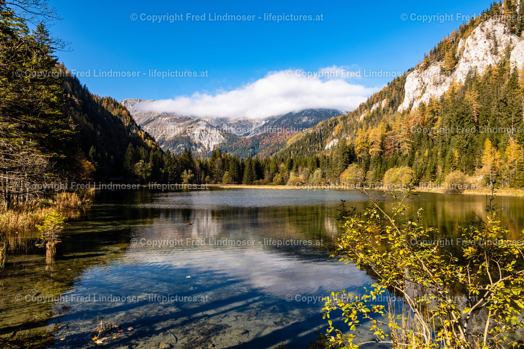 Seewiesen Duerrsee Hochschwab Herbst 24102021-0546 | Fotos und Fotoprodukte - Realisiert mit Pictrs.com