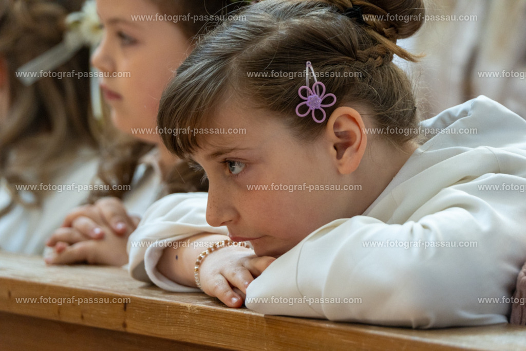 A7V02803 | Hier finden Sie die Online Foto-Galerie von fotograf-passau.com und marius-handrugan.de. Suchen Sie sich direkt Ihre Lieblingsbilder aus, ob als Ausdruck oder Download. - Realisiert mit Pictrs.com