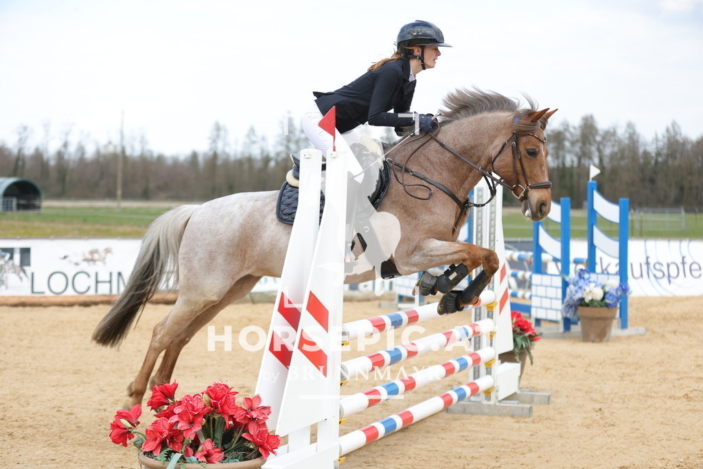 0P6A8555 | Willkommen bei Brunnmayr - Design & Fotografie – Ihrem Spezialisten für Reitturniere und Pferdeveranstaltungen in Oberösterreich, Salzburg und Bayern! Seit über 17 Jahren sind wir leidenschaftlich dabei.