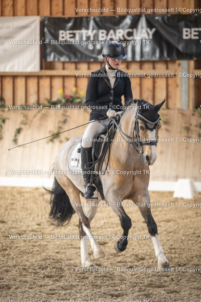 _D5A6256 | Emotionale Pferde- & People-Fotografie rund um Heidelberg, Leimen & Umgebung. Natürliche Fotos von Pferd, Mensch & Familie. Jetzt Termin sichern!