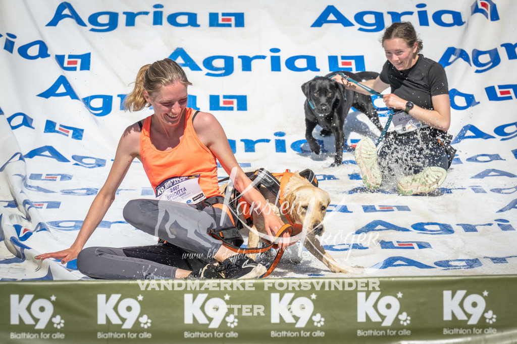 1451_ZZ96231 | kk-dogfotos