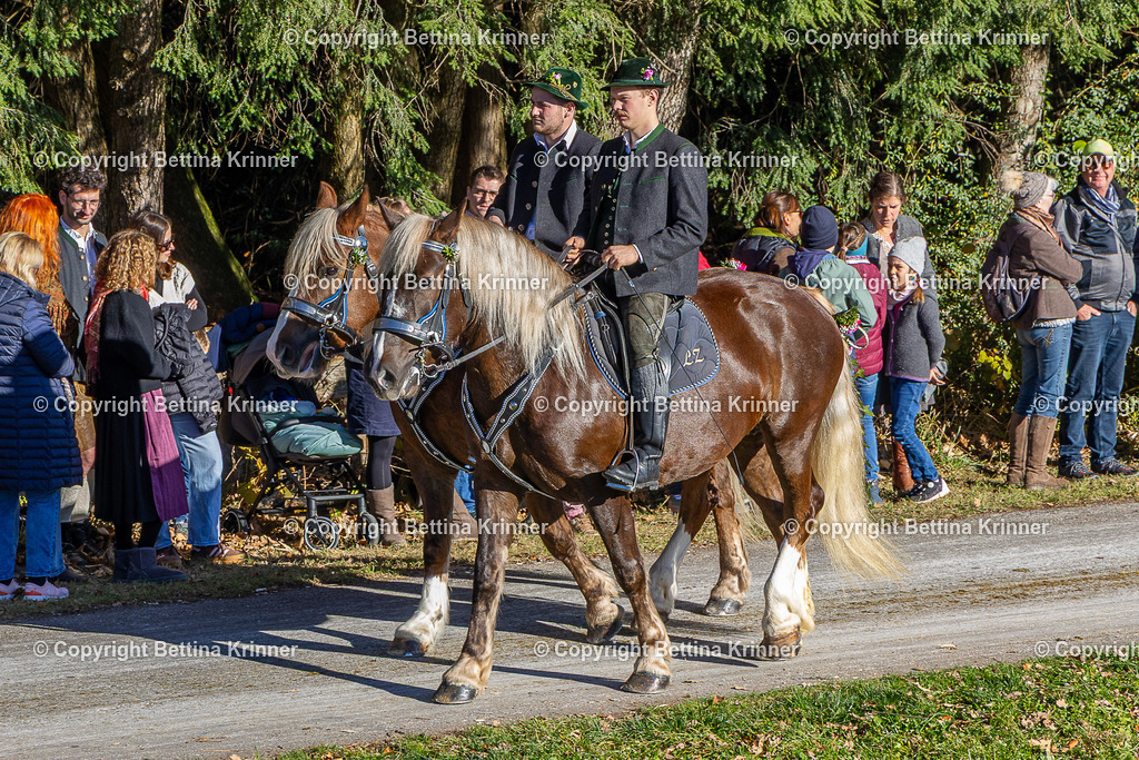 LBT25-716 | foto-bettina-krinner - Realisiert mit Pictrs.com