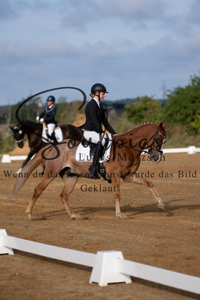 A7V03699 | Turnier/Reitfotograf