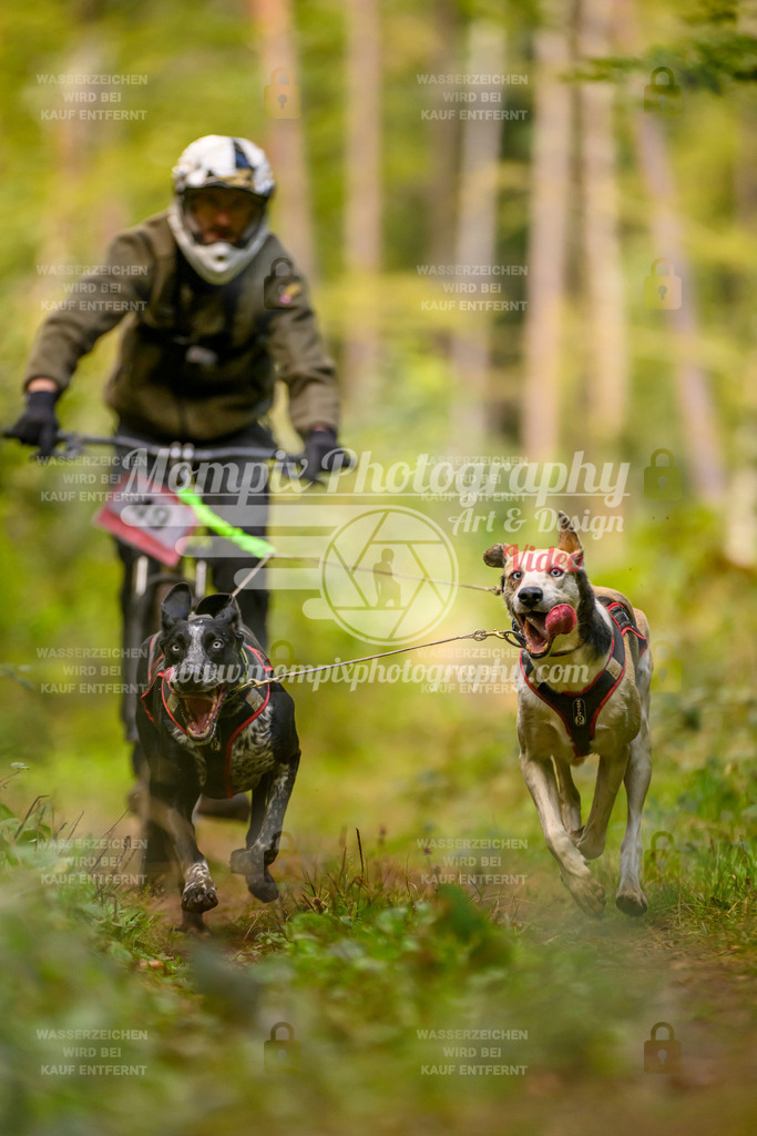MompixPhotography_Yens2025_B2-54 | PayLife