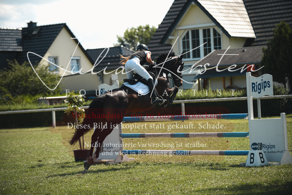 DSC_6971 | Pferde- und Turnierfotografie in Westsachsen. Pferdeportraits, Auftragszeichnungen und intuitive Kunst.