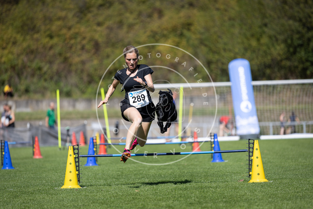 Pfotenfotografie_DV3A7390 | Hundefotografie, Tierfotograf, Pfotenfotografie, Fotoshooting Hund, Hunde Portrait, Hundesport, Hundeportraits, Heideshooting, Hunde, Sportfotograf, Hundefotograf, Turnierhundsport, THS,  - Realisiert mit Pictrs.com
