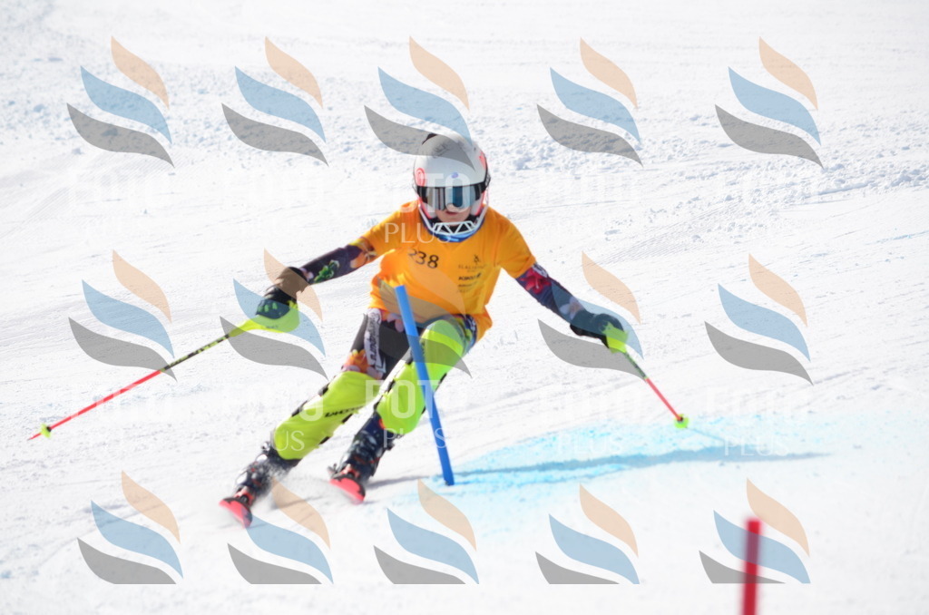 C8365 | holidayphoto