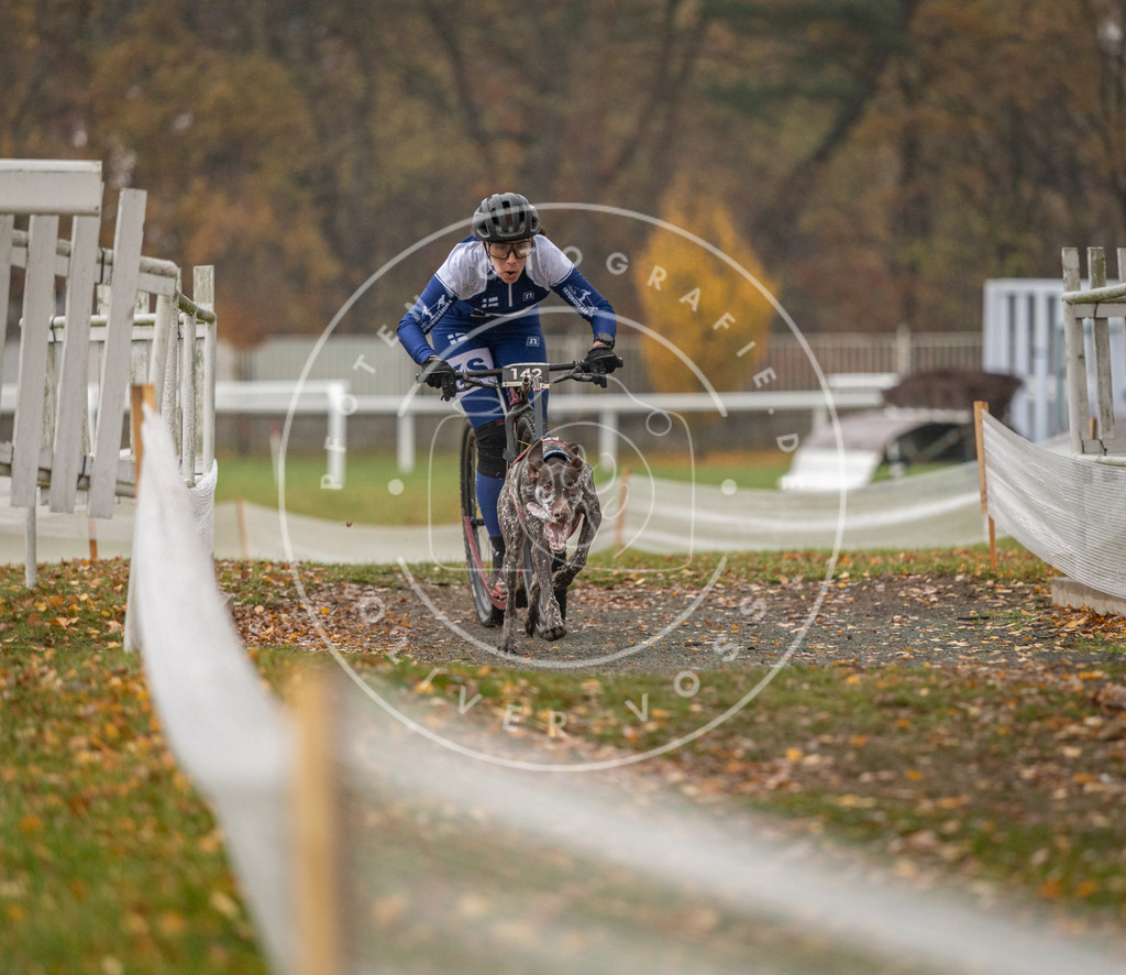 CaniXpix_DV3A7927 | Hundefotografie, Tierfotograf, Pfotenfotografie, Fotoshooting Hund, Hunde Portrait, Hundesport, Hundeportraits, Heideshooting, Hunde, Sportfotograf, Hundefotograf, Turnierhundsport, THS,  - Realisiert mit Pictrs.com