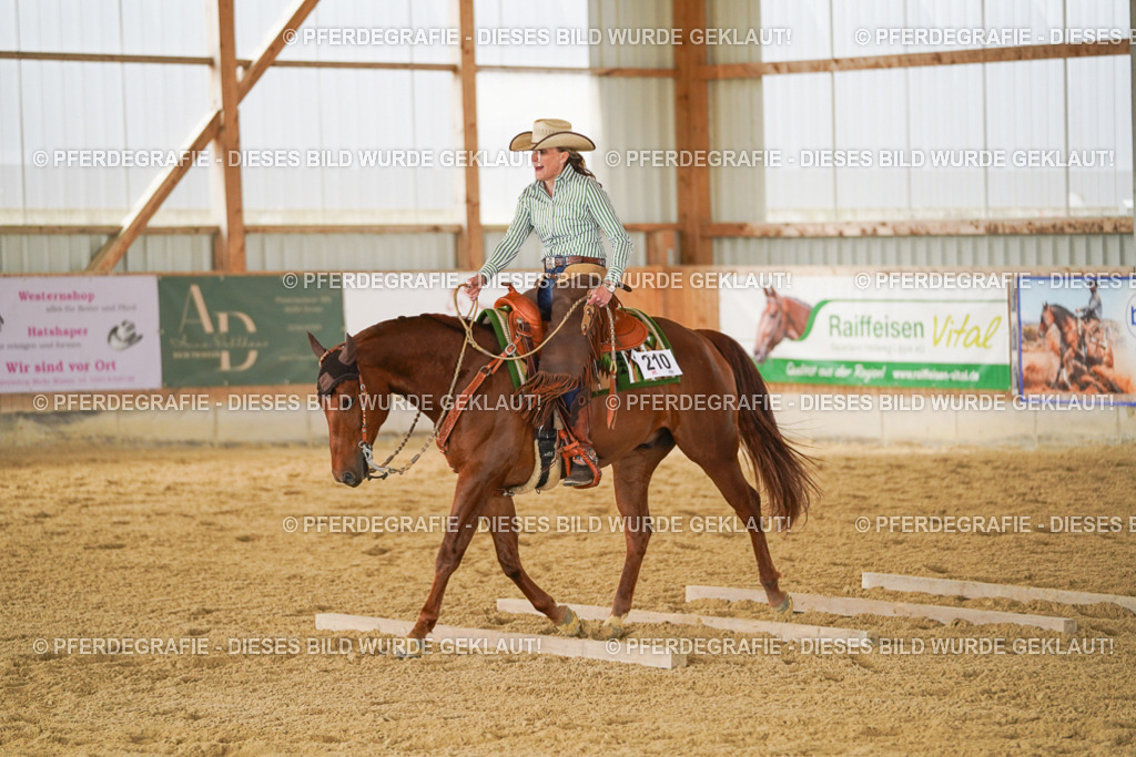 DSC05058 | Pferdegrafie