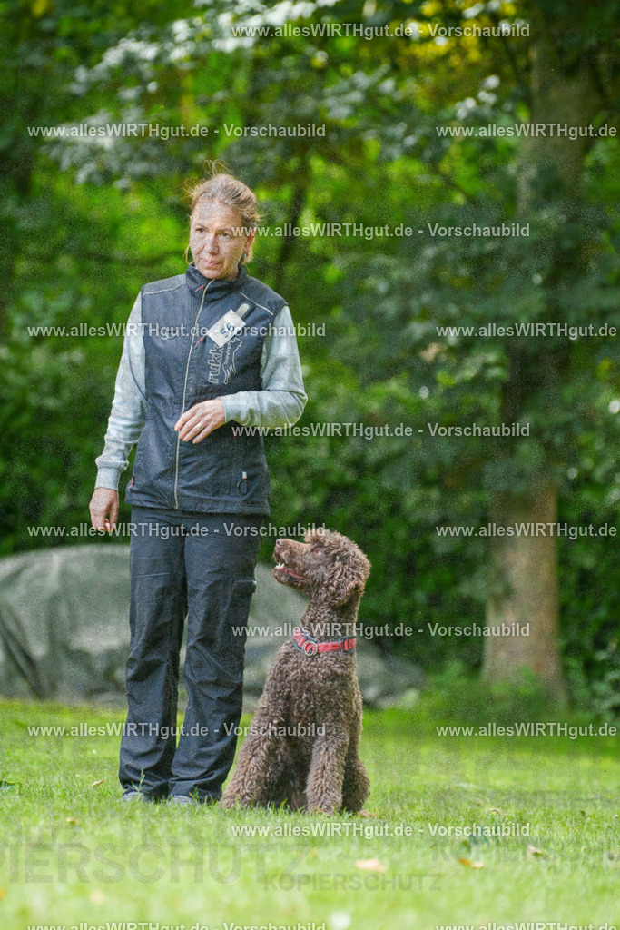 @allesWIRTHgut_Tierfotografie - www.allesWIRTHgut.de - 7R501062 | Professionelle Tierfotografie in Mönchengladbach von Daniel Wirth (allesWIRTHgut). Liebevolle & natürliche Bilder von Hunden & Katzen für unvergessliche Erinnerungen.