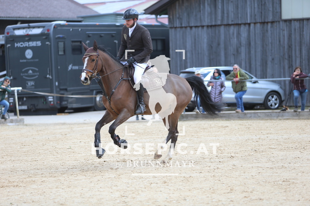 DL2Q8754 | Willkommen bei Brunnmayr - Design & Fotografie – Ihrem Spezialisten für Reitturniere und Pferdeveranstaltungen in Oberösterreich, Salzburg und Bayern! Seit über 17 Jahren sind wir leidenschaftlich dabei.