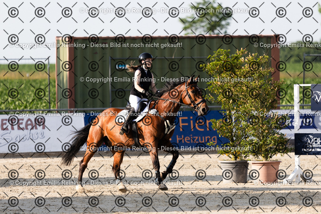 CL5A1381 | Emilia Reinking Fotografie - Realisiert mit Pictrs.com