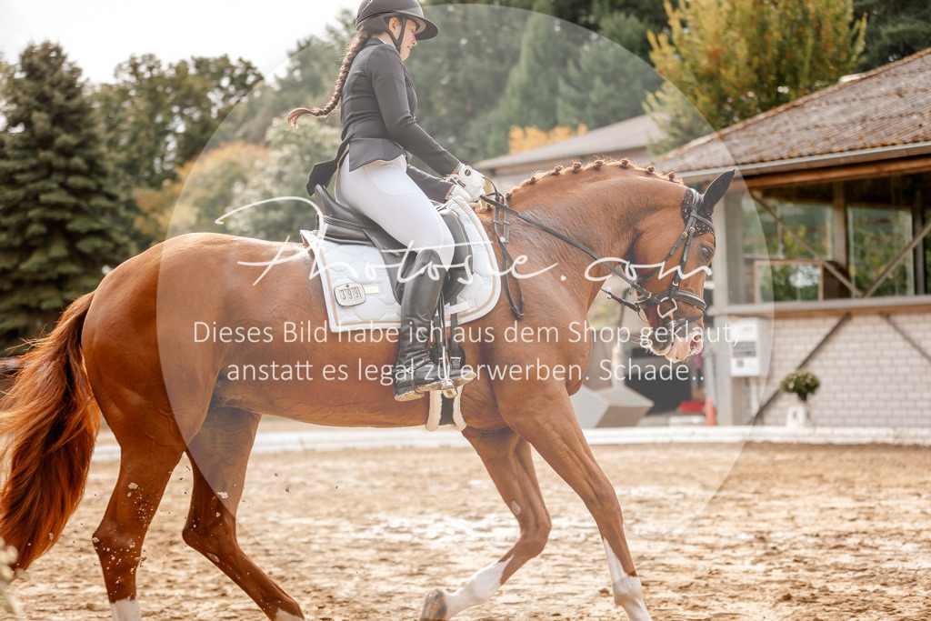 3I6A7458 | Stimmungsvolle Portraits und Reitsportfotografie im Ruhrgebiet und im Münsterland.

Pferdefotografie, Hundefotografie, Tierfotografie, Reportagen, Portraits von Tier und Mensch, Turnierfotografie in Bochum, Recklinghausen, Marl, Haltern am See, Dülmen.. - Realisiert mit Pictrs.com