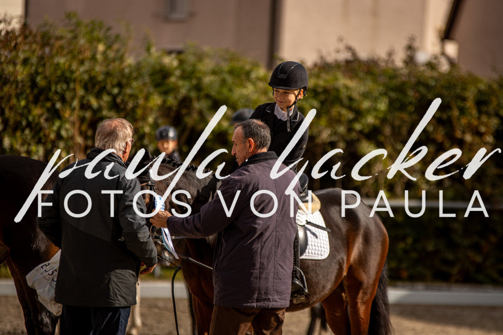 IMG_3808 | Erleben Sie dynamische Sport- und emotionale Tierfotografie in Süddeutschland mit Fotos von Paula. Spezialisiert auf Pferde- und Hundefotografie sowie Sportevents. Kontaktieren Sie mich für einzigartige und ausdrucksstarke Bilder Ihrer besonderen Momente.