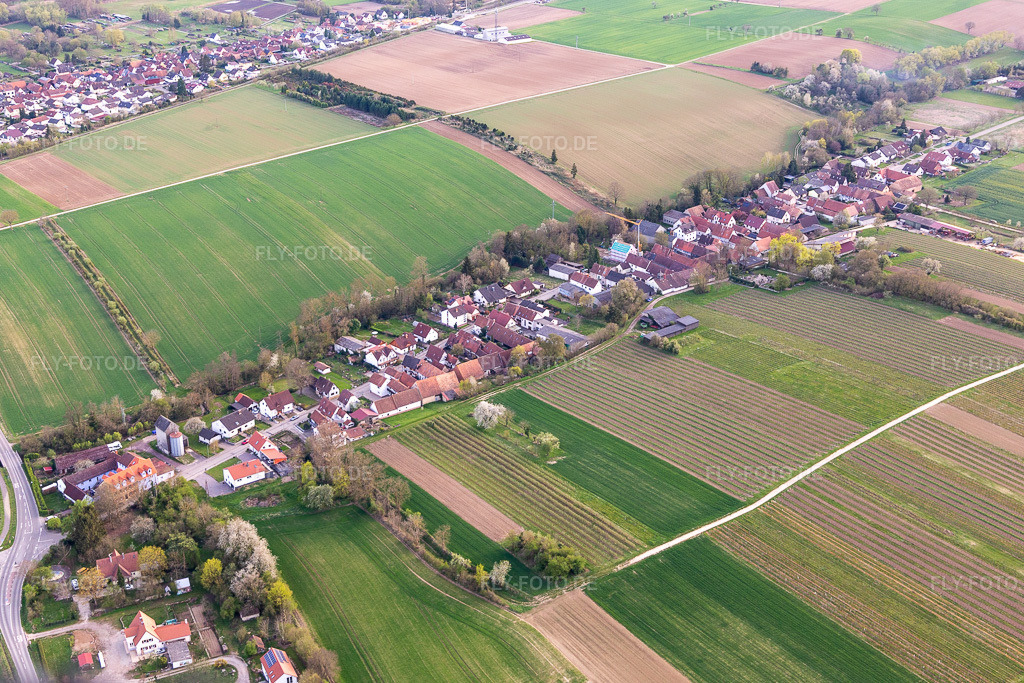 Luftbild:  in Vollmersweiler im Bundesland Rheinland-Pfalz in Deutschland. – Foto: IMG_131223.jpg vom 12.04.2022 durch Werner Riehm/FLY-FOTO.de – Auflösung des Originals: 5050 x 3367 px – VG Kandel