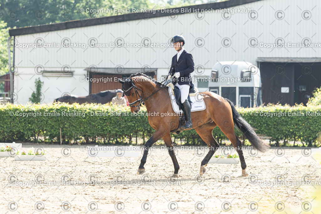 CL5A4160 | Emilia Reinking Fotografie - Realisiert mit Pictrs.com