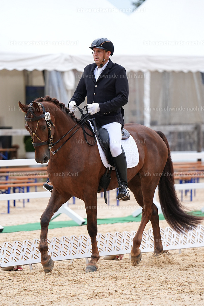 3-239-Dressur M_-Marixx-1908 | working equitationturnier fotograf videograf stoibphotography marixx film working equitation deutschland reitsport turnierfotografie eventfotografie equestrian events