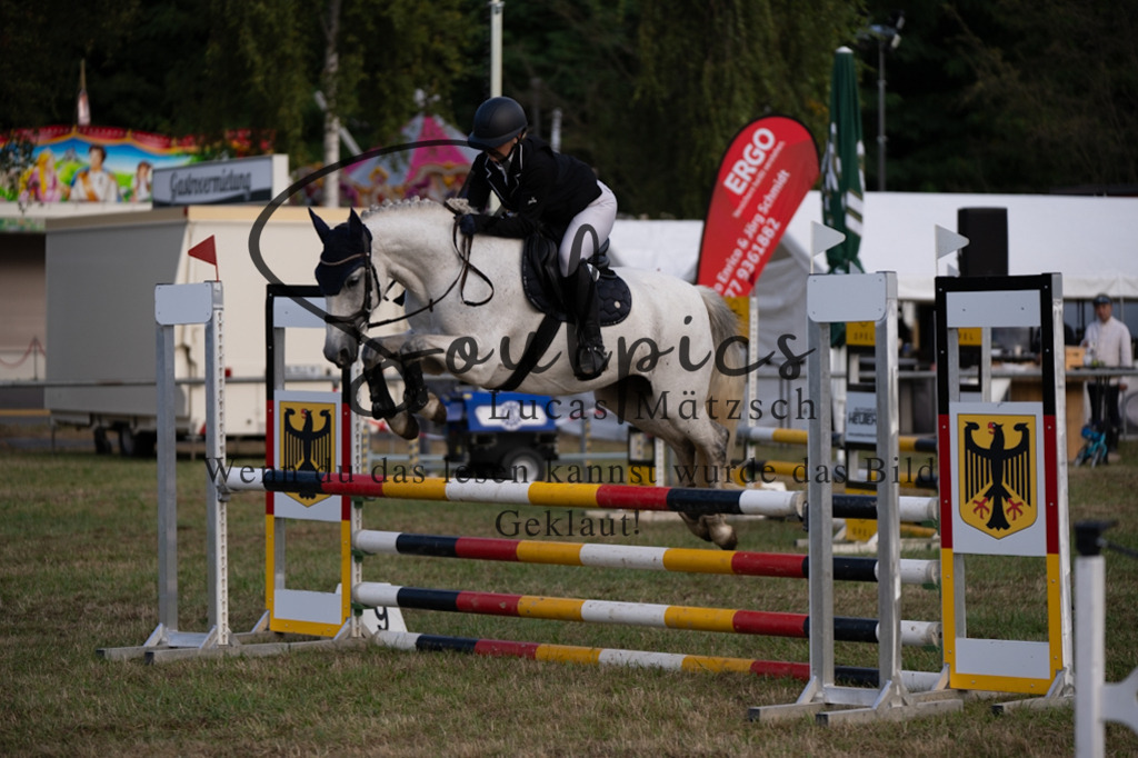 A7V07998 | Pferdefotograf