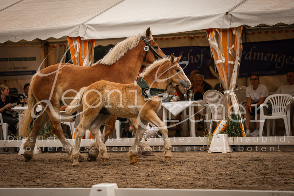 SaHF00159 | Leoni Ertmer Photography - Realisiert mit Pictrs.com