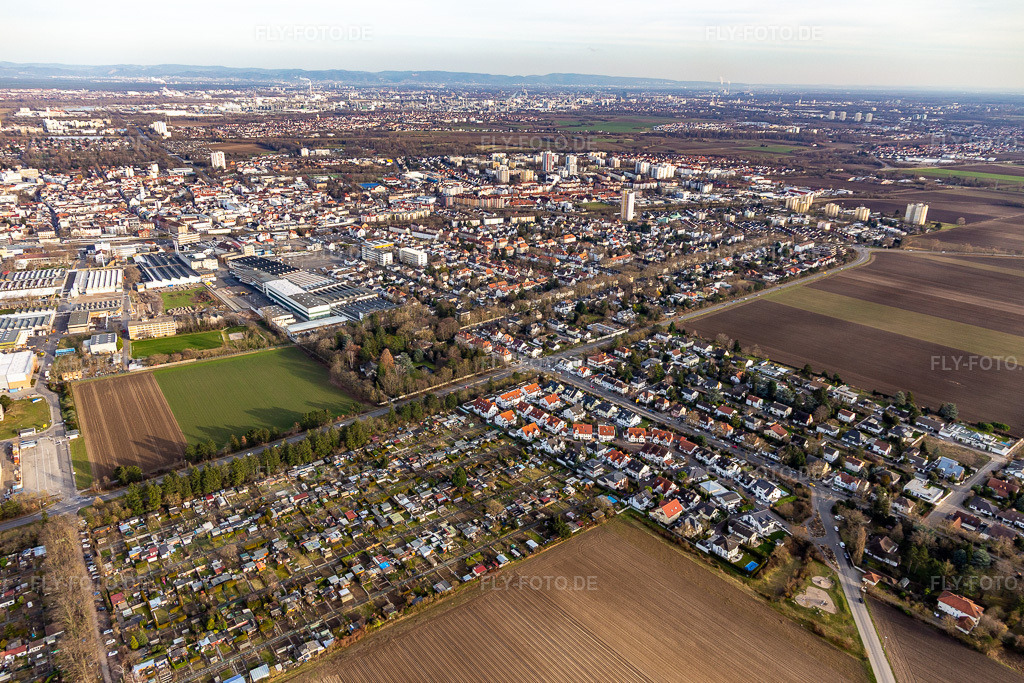 Luftbild: Lambsheimer Straße in Frankenthal im Bundesland Rheinland-Pfalz in Deutschland. Foto: IMG_130504.jpg vom 12.02.2022 durch Werner Riehm/FLY-FOTO.de