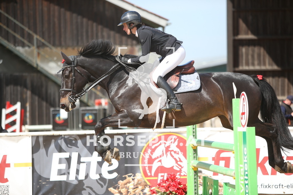 PP014097 | Willkommen bei Brunnmayr - Design & Fotografie – Ihrem Spezialisten für Reitturniere und Pferdeveranstaltungen in Oberösterreich, Salzburg und Bayern! Seit über 17 Jahren sind wir leidenschaftlich dabei.