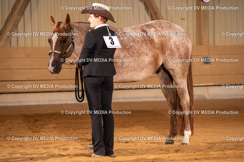 NID00026 | dv-media-shop - Realisiert mit Pictrs.com