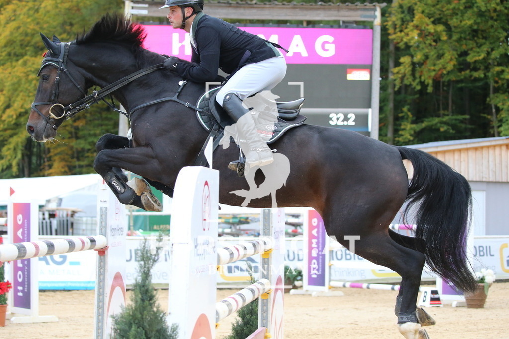 DL2Q5728 | Willkommen bei Brunnmayr - Design & Fotografie – Ihrem Spezialisten für Reitturniere und Pferdeveranstaltungen in Oberösterreich, Salzburg und Bayern! Seit über 17 Jahren sind wir leidenschaftlich dabei.