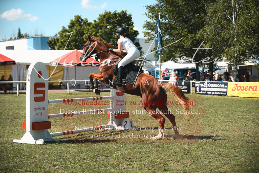 DSC_7127 | Pferde- und Turnierfotografie in Westsachsen. Pferdeportraits, Auftragszeichnungen und intuitive Kunst.
