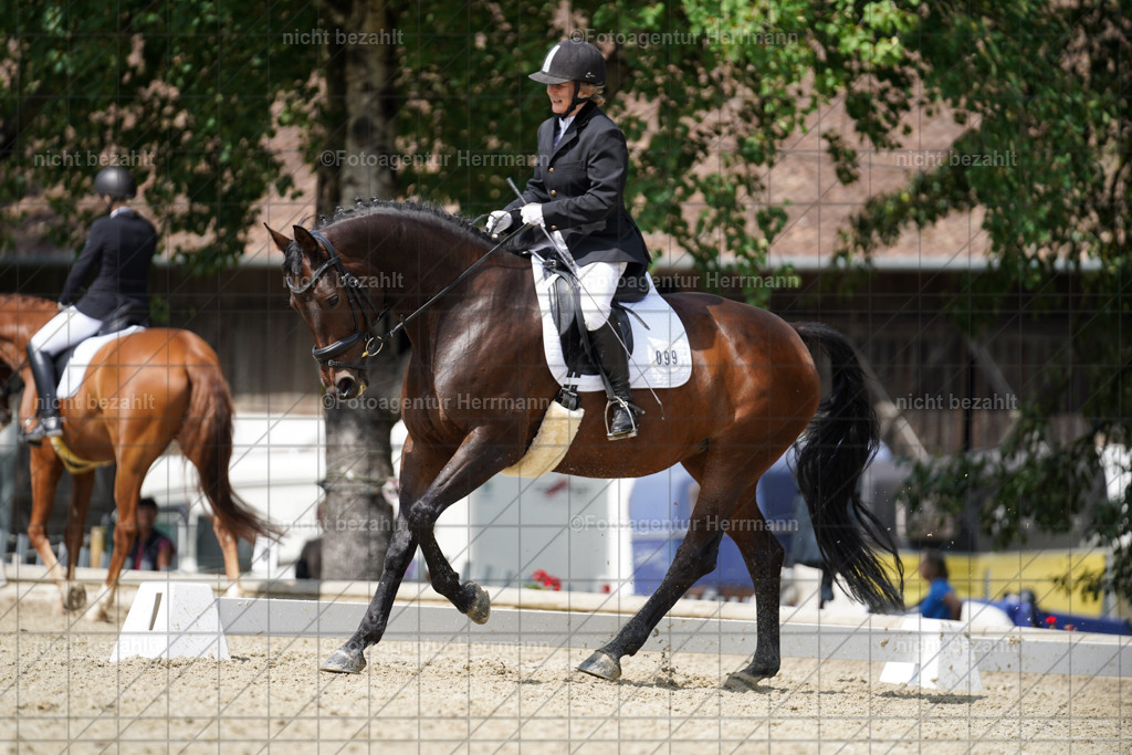 20230826-FAH05505 | Forstinning, 2023, Dressurturnier, Turniersportbilder, Turnierfotografen Bayern, Fotoagentur Herrmann, Reitsportfotografie, Turnierbilder