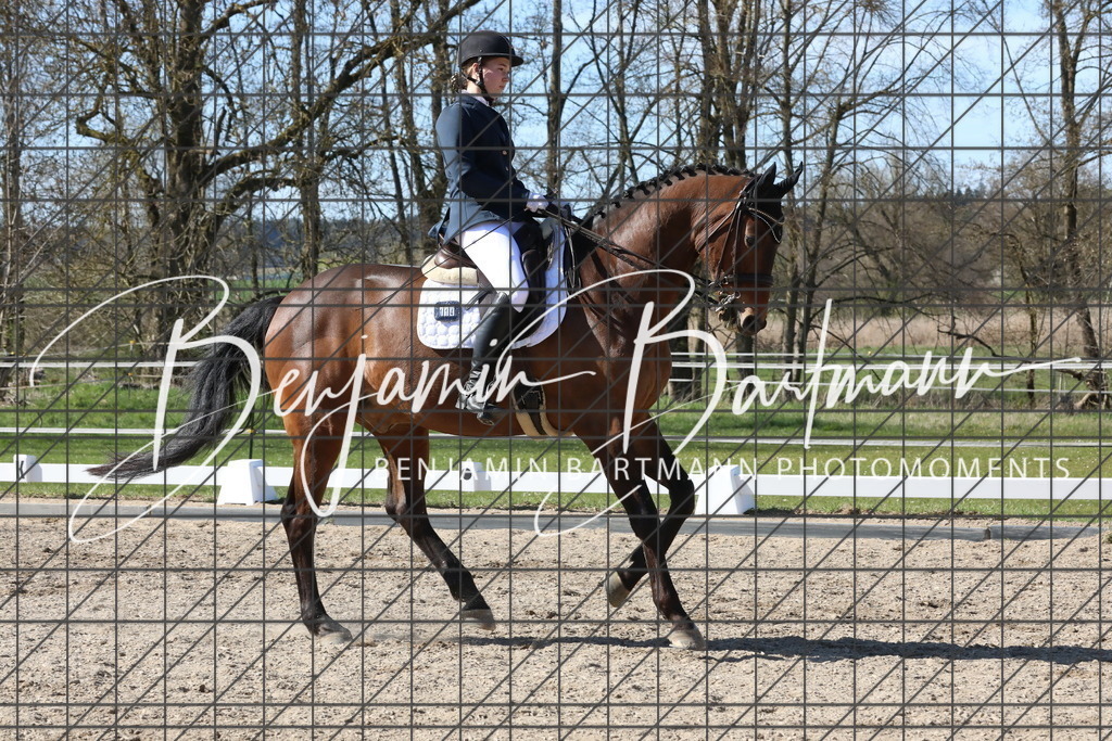 AZ2A4919 | Benjamin Bartmann Photomoments