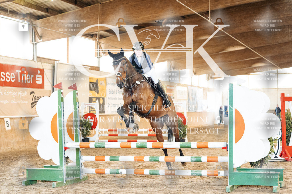 CK903717 | Turnierfotografie Pferdefotografie Trier Rheinland-Pfalz Pferdesport Reitsport Tierfotografie Sportfotografie Pferdevideo Pferdevideografie Equestrianvideography equestrianphotography  - Realized with Pictrs.com