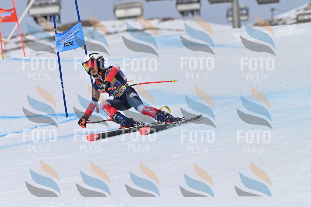 BGV_4182 | holidayphoto