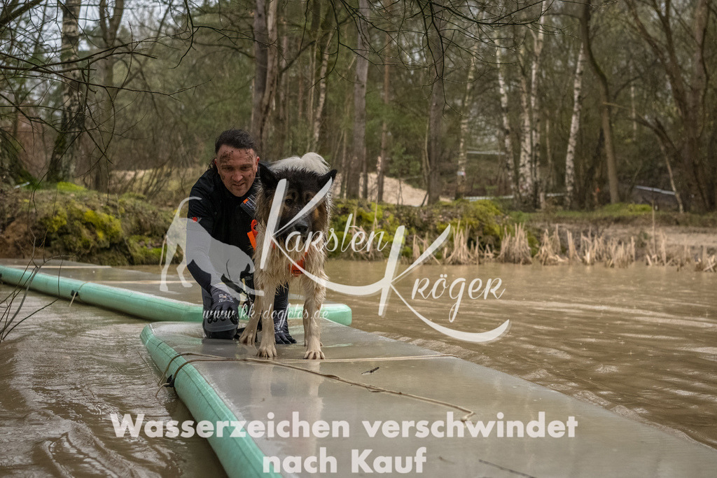 1056_ZZ93814-Bearbeitet | kk-dogfotos
